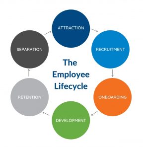 The Employee Lifecycle crop noborder_Consulting_Workforce Development_Literacy_Gap Years